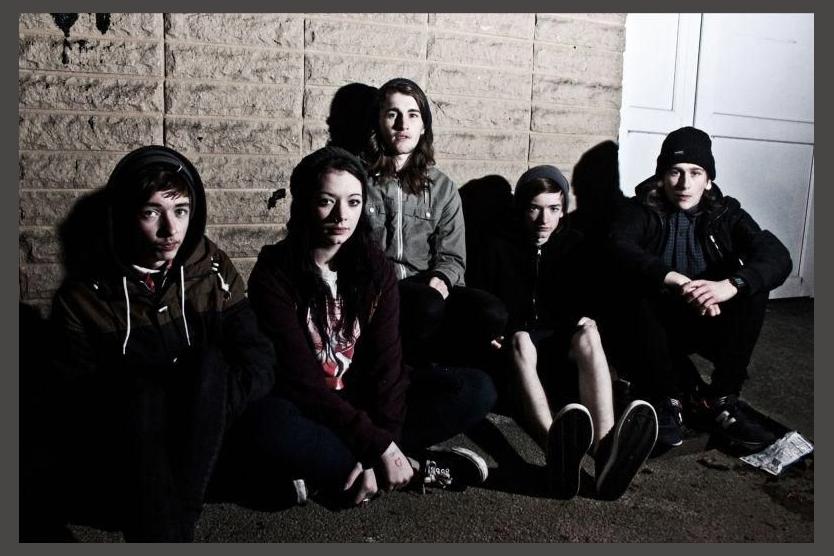 Marmozets